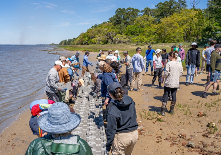A group of people work together on a sandy beach near the water, placing gray structural units as part of an environmental or conservation project. Trees and greenery line the background under a clear sky, illustrating community involvement in coastal restoration efforts.