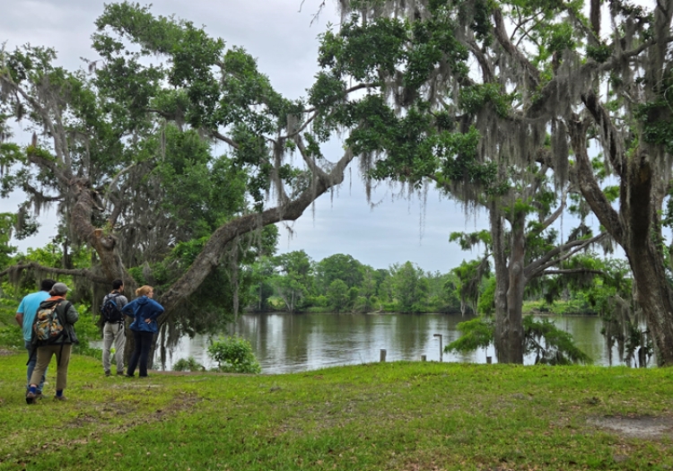 Four people stand near a body of water surrounded by trees with hanging moss, visually representing community engagement in environmental planning.